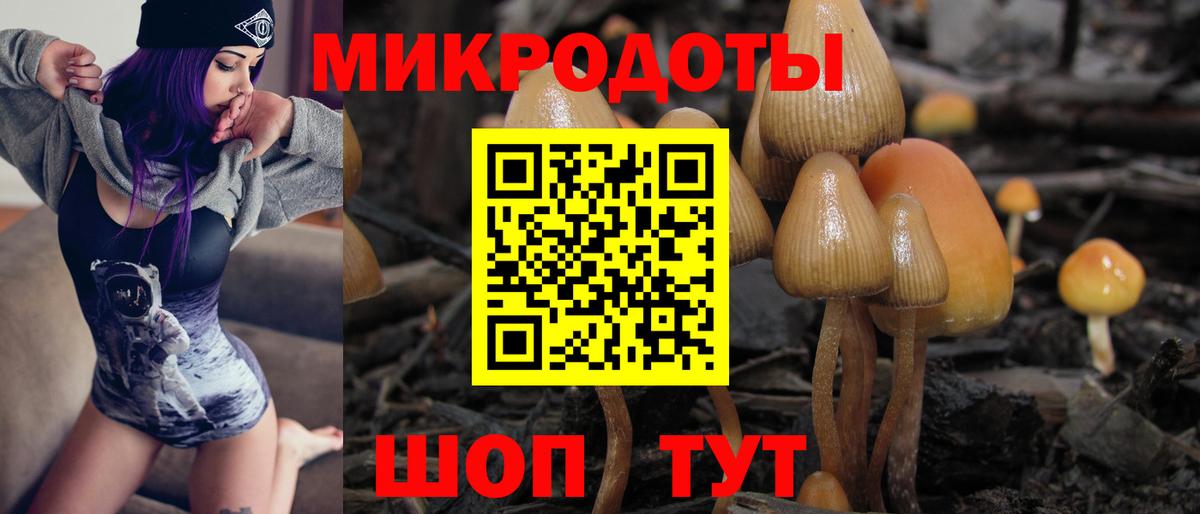 Галлюциногенные грибы прущие грибы Вязники